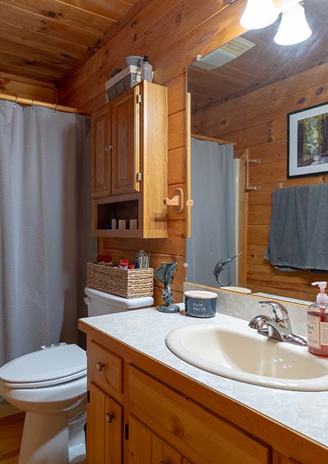 blue ridge bathroom