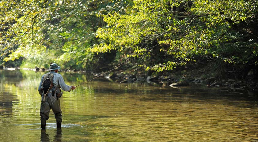 mountain rentals blue ridge fishing