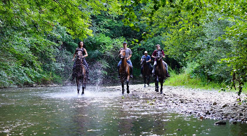 mountain rentals blue ridge horseback riding