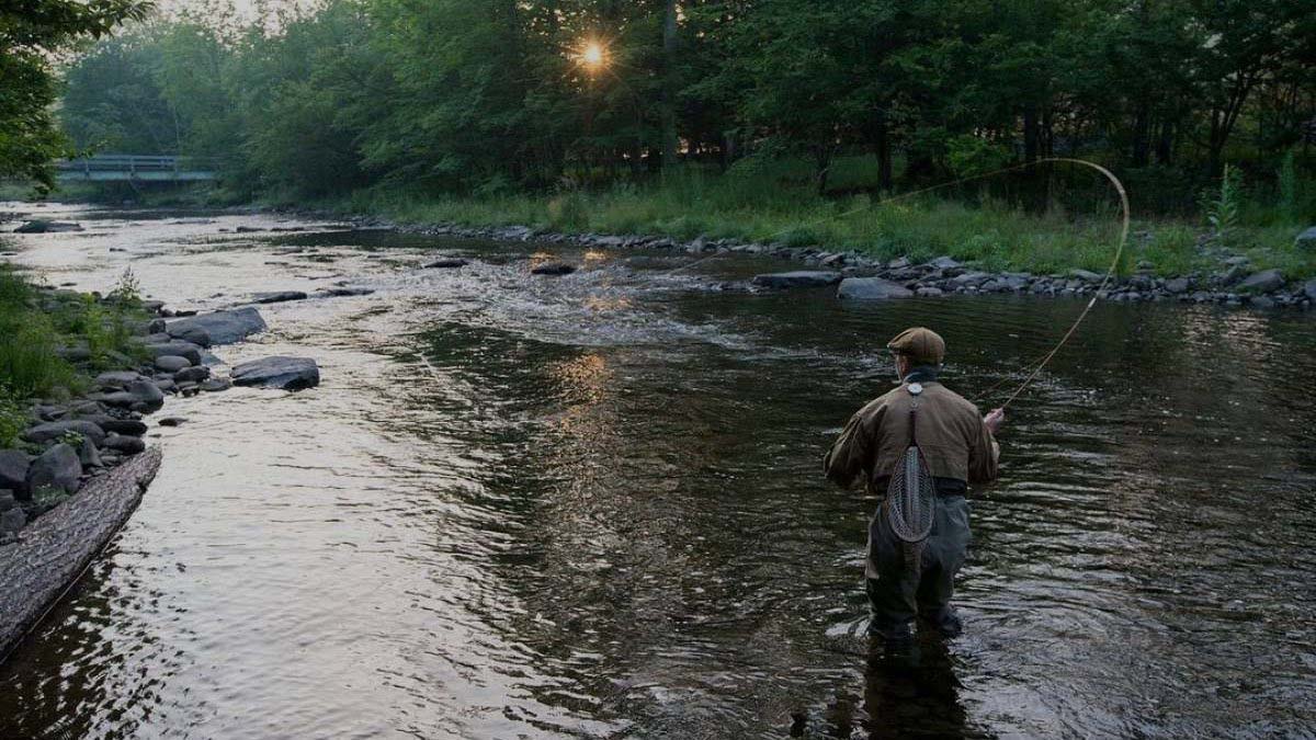 fly fishing blue ridge