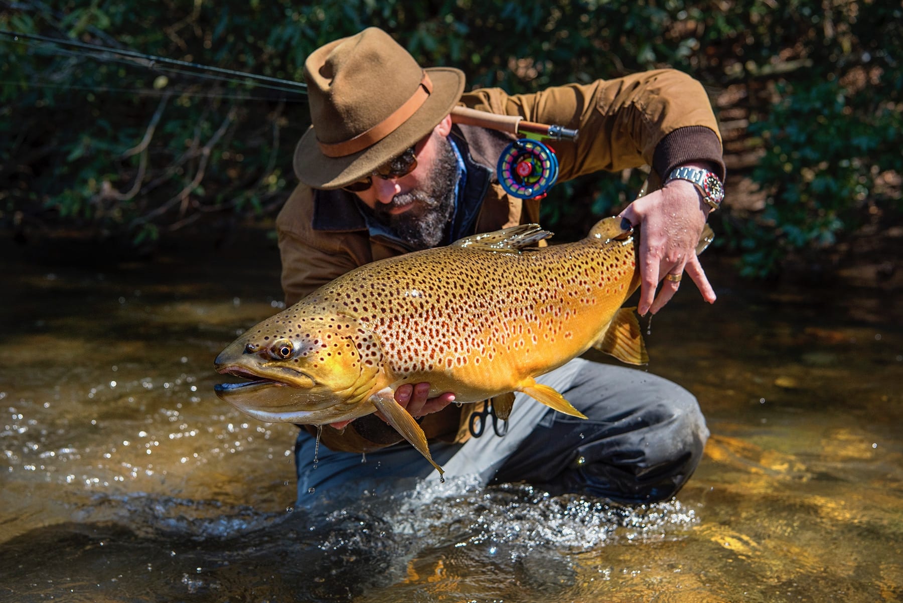 blue ridge fly fishing